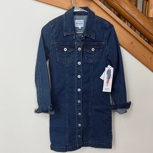 Celebrity Pink Blue Denim Dress